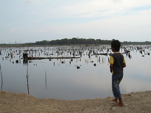 Kuala Karang, West-Kalimantan
Newly constructed, extensive aquacultue pond in Kuala Karang, West-Kalimantan.<br />
Fischerei/Aquakultur, Kollidierende Nutzungen
